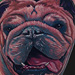 Tattoos - Bulldog Tattoo - 74124
